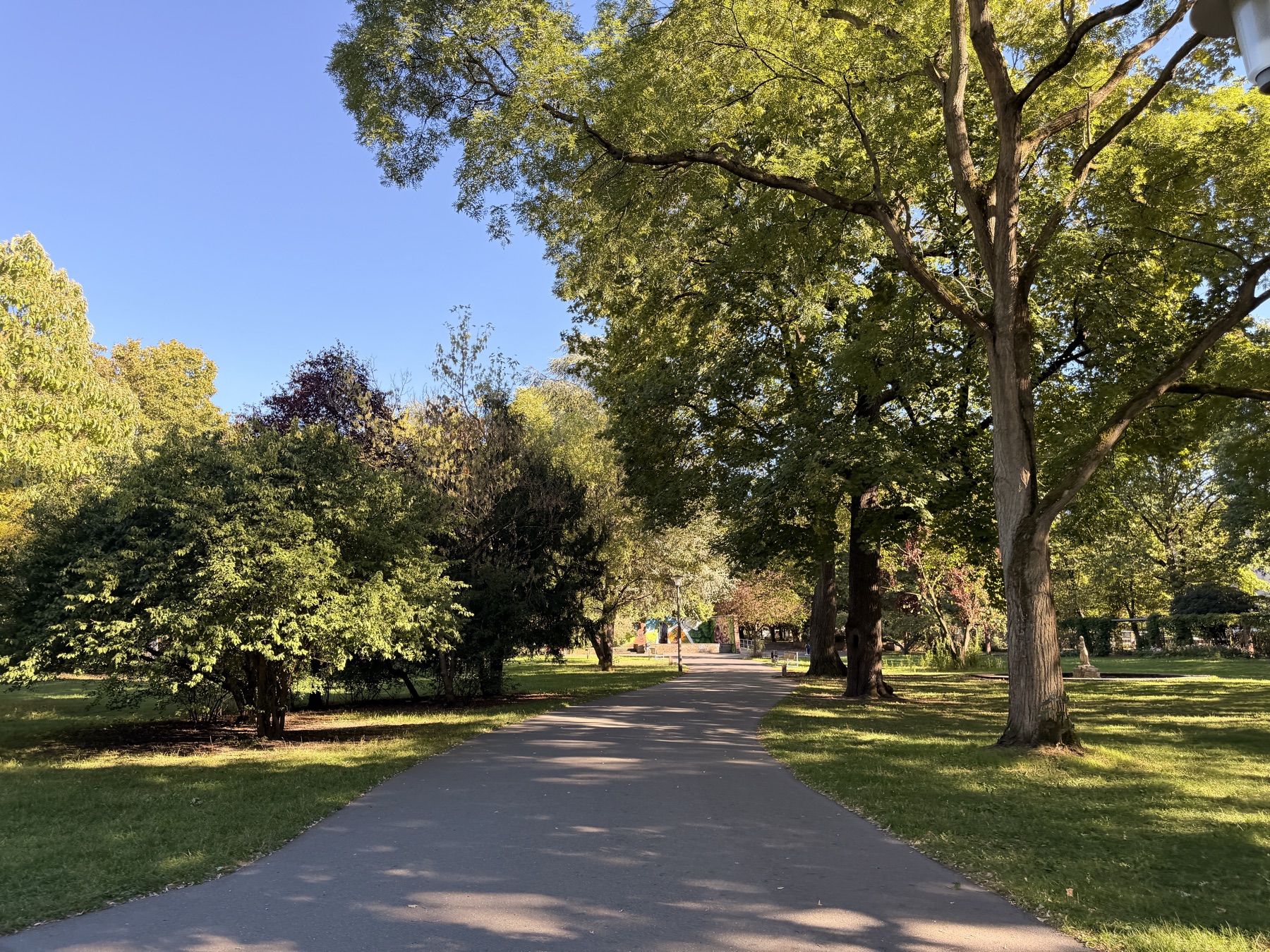 Weg unter alten Bäumen im Nürnberger Stadtpark
